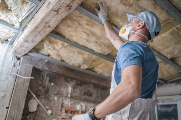 Best Insulation Installation Services in Abilene, TX